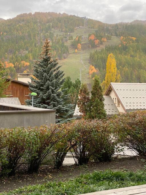 Appartement 4 Pers Grande Terrasse Vue Pistes Ski サン・シャフレ エクステリア 写真